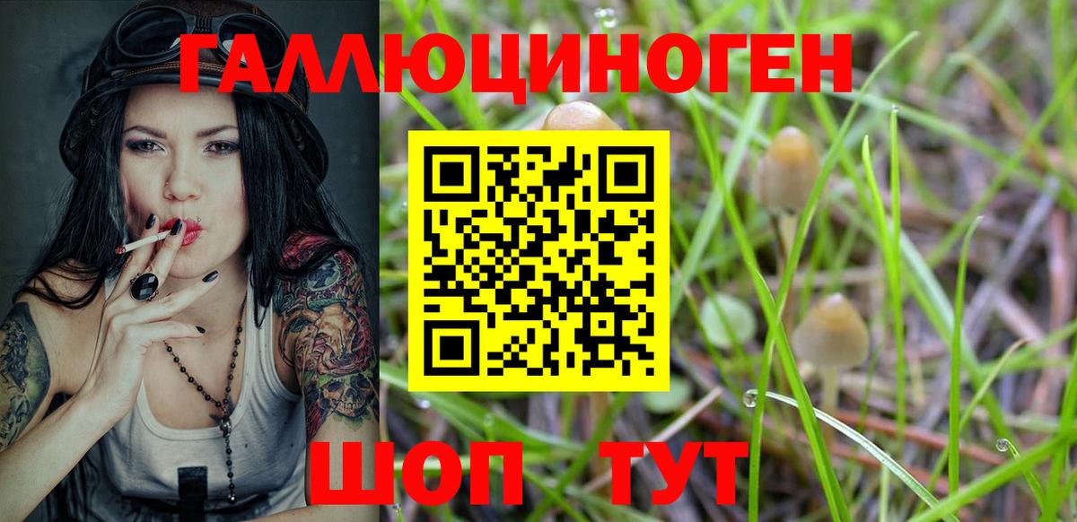 Псилоцибиновые грибы Magic Shrooms Севастополь