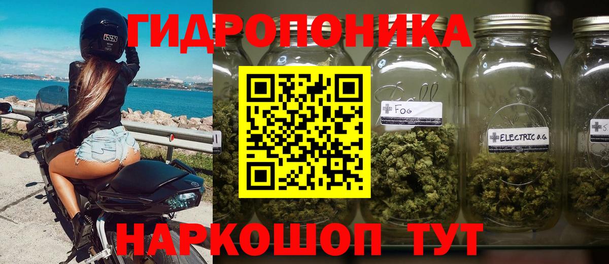 МАРИХУАНА конопля Севастополь